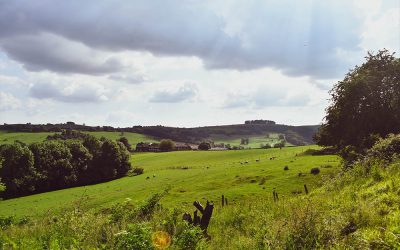 DOVEDALE