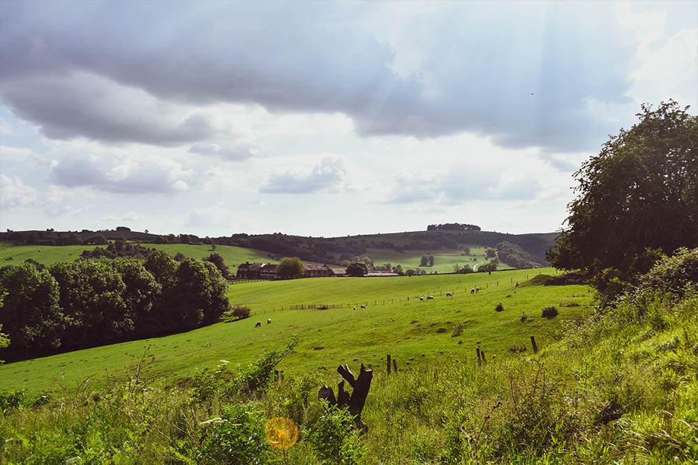 DOVEDALE