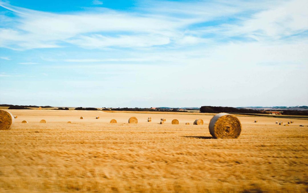 NORTHERN FRANCE