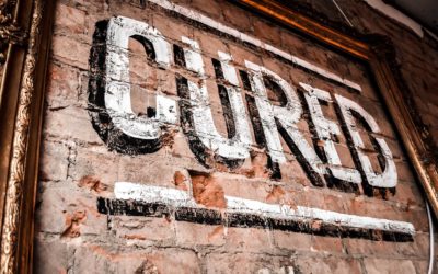 CURED – SOFT OPENING